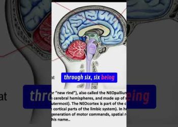 THIS is Why NEO was the Matrix HERO