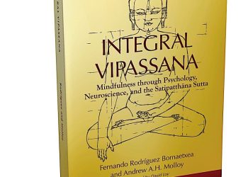 The Five Hindrances and the Flow of Experience: Excerpt from Integral Vipissana: Mindfulness through Psychology, Neuroscience, and the Satipatthana Sutta
