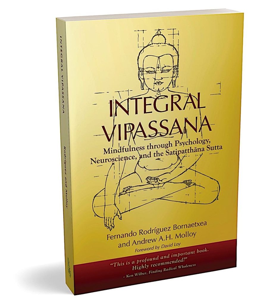 The Five Hindrances and the Flow of Experience: Excerpt from Integral Vipissana: Mindfulness through Psychology, Neuroscience, and the Satipatthana Sutta