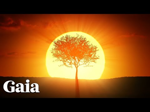 This is Why the SUN is Prominent in Theology, Religion and Spirituality