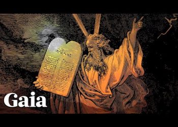 What do the Moon and Magic Mushrooms Have in Common?