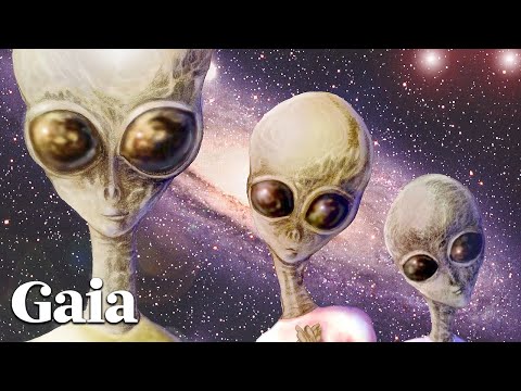 Woman Claims to Have ET Contact Experiences with the Greys