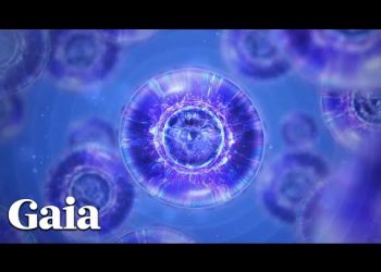 You Have the Ability to CREATE Your Own REALITY