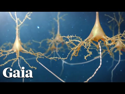 Dr Joe Dispenza Offers a NEW Scientific View of MEDITATION
