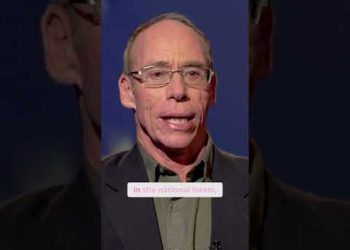 These People Manifested E.T. Contact at Mt. Shasta