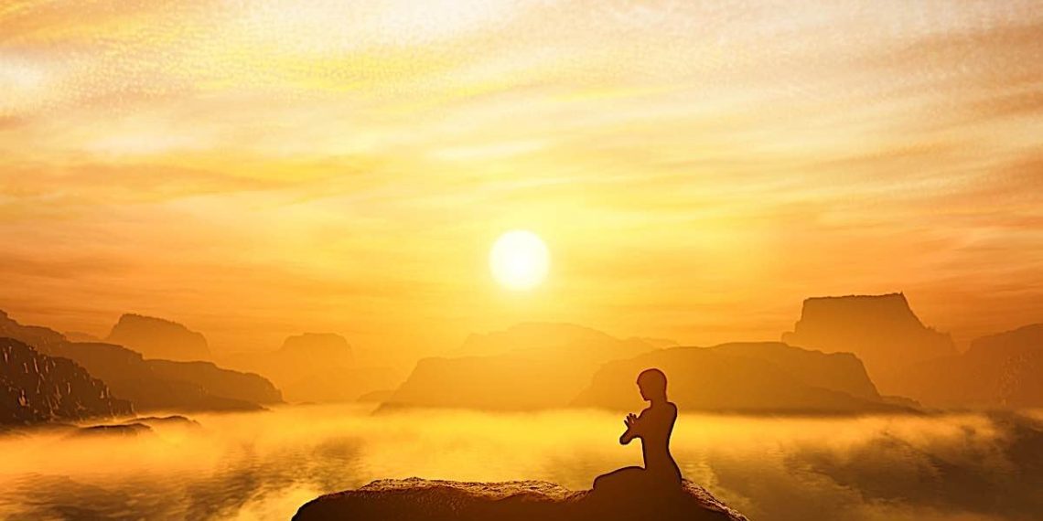 What Is the Importance of the Human-Nature Connection in Buddhism?