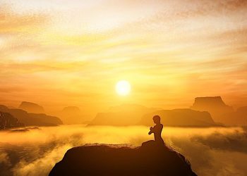 What Is the Importance of the Human-Nature Connection in Buddhism?