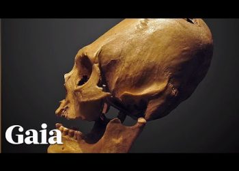 What Evidence Do We Have of ET Phenomena on Earth?