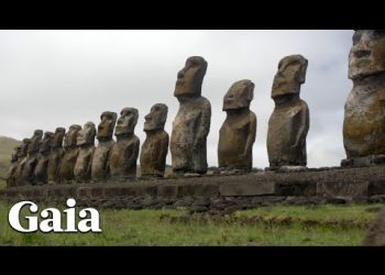 What Evidence is Rewriting History As We Know It?