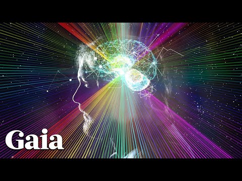 Is the Internet Helping or Hindering Humanity’s Creativity?