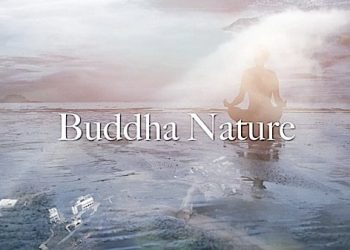 The Essential Characteristics of Buddha Nature Based on the teachings in the Uttara Tantra Shastra - Buddha Weekly: Buddhist Practices, Mindfulness, Meditation