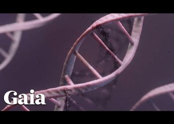 How the Fibonacci Sequence Manifests Throughout the Natural World