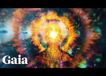 What Does It Mean to SHARE Collective Consciousness?