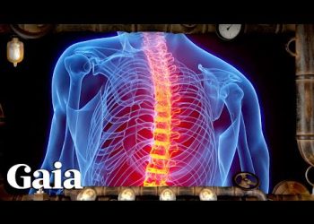 The Father of BIOHACKING - VEGAN Diet & Activated Charcoal