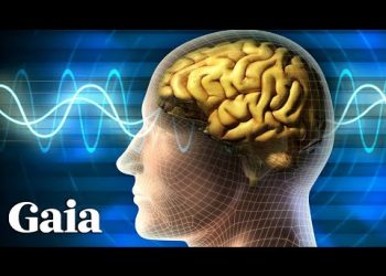 AI Interface With the Human Brain & Consciousness