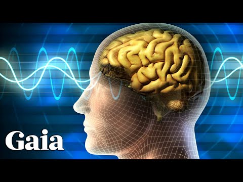 AI Interface With the Human Brain & Consciousness