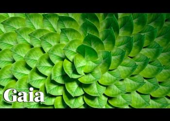 HIGH Vibration DIET for STARSEED Souls