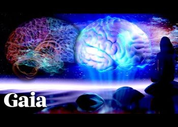 "OVER-WRITE Old Brain Programs" - MIT Neuroscience Professor