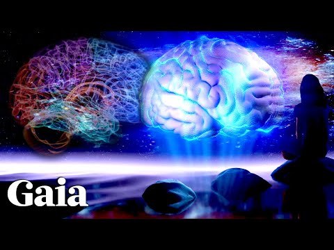 "OVER-WRITE Old Brain Programs" - MIT Neuroscience Professor