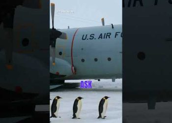 Why Antarctica is a UFO Hotspot