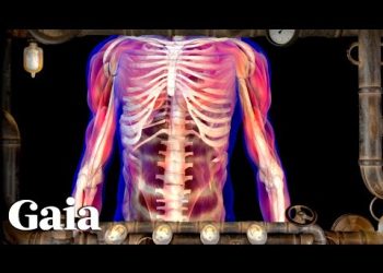 BIOHACK the NEW YEAR for a NEW YOU - DO LESS, GAIN MORE