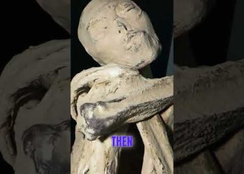 DNA Test Results of the Nazca Mummy