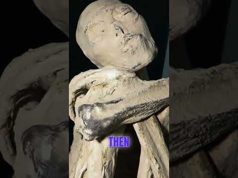 DNA Test Results of the Nazca Mummy