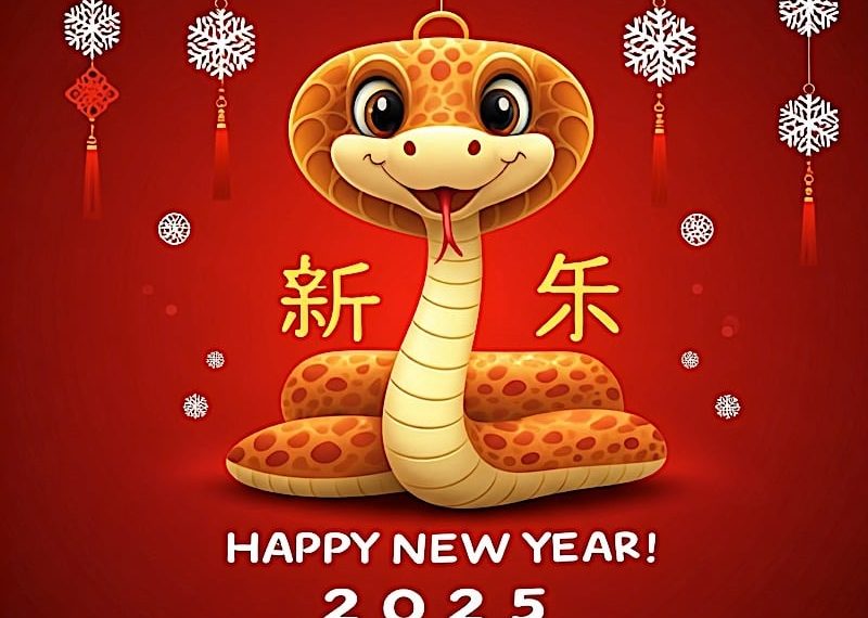 Happy Chinese New Year: Year of the Wood Snake 2025 - How to Celebrate and Prepare: Purify, Clean and Sweep in Prosperity - Buddha Weekly: Buddhist Practices, Mindfulness, Meditation