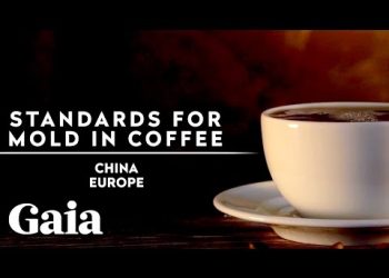 KNOW THIS About MOLD TOXINS in Your COFFEE