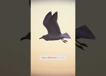 Finding Your Unique Manifestation