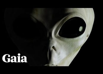 The GREYS - Were They the FIRST to be Here?