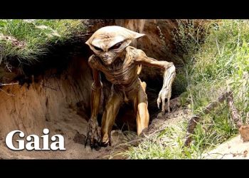 CLASSIFIED Story from AREA 51- The Escape of a QUATALOID