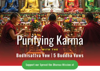 Purifying Downfalls: 5 Buddha Vows Practice - Buddha Weekly: Buddhist Practices, Mindfulness, Meditation