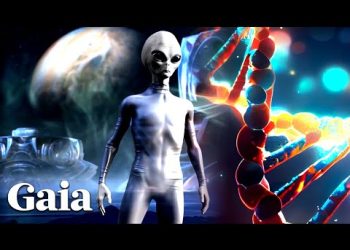 GREY ALIEN Hybridization is a HUMAN-Engineered Facade?