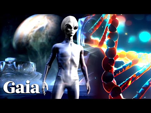 GREY ALIEN Hybridization is a HUMAN-Engineered Facade?