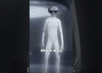 The Mantis and Insectoids