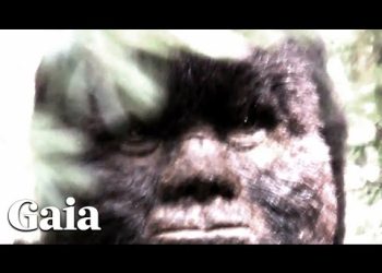 FACE to FACE with SASQUATCH - Filmmaker Spent Decades in the Wild