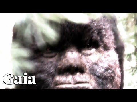 FACE to FACE with SASQUATCH - Filmmaker Spent Decades in the Wild