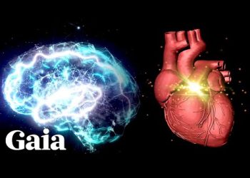 'The BRAIN Inside of Your HEART' - Untapped Human Potential