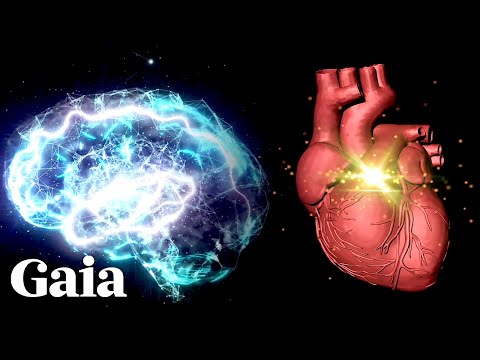 'The BRAIN Inside of Your HEART' - Untapped Human Potential