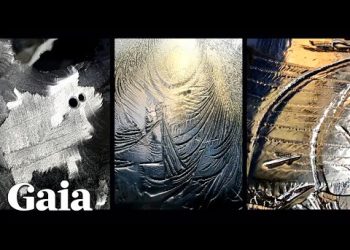 WATER Has MEMORY. She Used it to RECORD her DREAMS