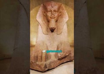 Feline Influence Across Time