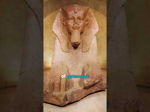 Feline Influence Across Time