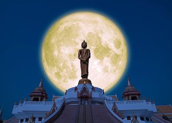 Support Buddha Weekly's Mission "Spread the Dharma" - Buddha Weekly: Buddhist Practices, Mindfulness, Meditation