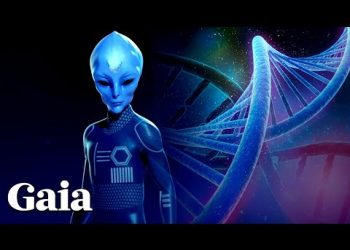 THE ARCTURIAN Perspective on the MEANING OF LIFE & Importance of LINEAGE