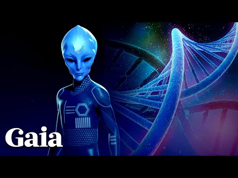 THE ARCTURIAN Perspective on the MEANING OF LIFE & Importance of LINEAGE