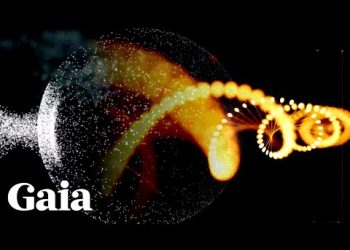 Can PARASITES Be Transferred Through EMFs?