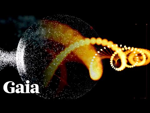 Can PARASITES Be Transferred Through EMFs?