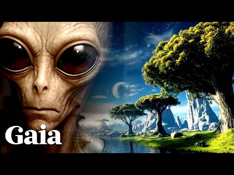 PLEIADIANS Share Near-Identical DNA with Us — NOT by Coincidence, but by DESIGN