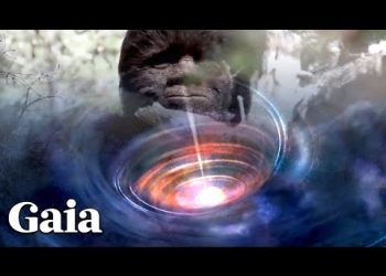 WHAT are the Portal, Orb & Vortex CONNECTIONS to BIGFOOT?